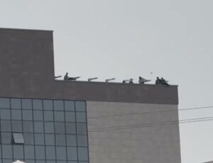 Diyarbakır Şehir Hastanesi inşaatında 75 işçi alacakları ödenmeyince eyleme başladı