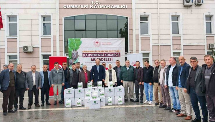 Düzce Cumayeri’de muhtarlara kahverengi kokarca için ilaç dağıtıldı