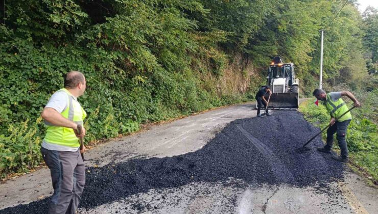 Düzce İl Özel İdaresi, Gölyaka Yunusefendi Köyü’nde asfalt yama çalışması yapıyor