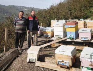 Düzce Yığılca’da Kırık, Gelenöz, Mengen ve Yaylatepe’de arılı kovan sayımı yapıldı