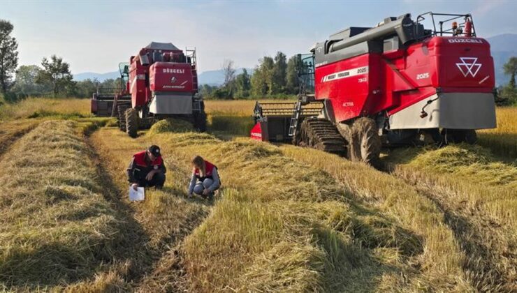 Düzce’de üreticilere anız yakmama uyarısı yapıldı, biçerdöver denetimleri sürüyor