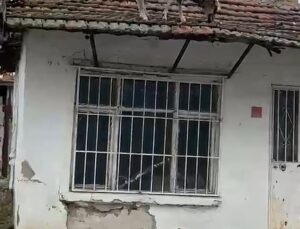 Edirne Lalapaşa’da bir koyun tek katlı evin çatısında otlamaya başladı