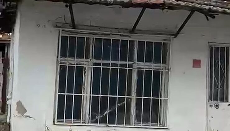 Edirne Lalapaşa’da bir koyun tek katlı evin çatısında otlamaya başladı