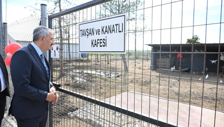Edirne Valisi Yunus Sezer, Süloğlu’ndaki 42 dönümlük sahipsiz hayvan alanını gezdi