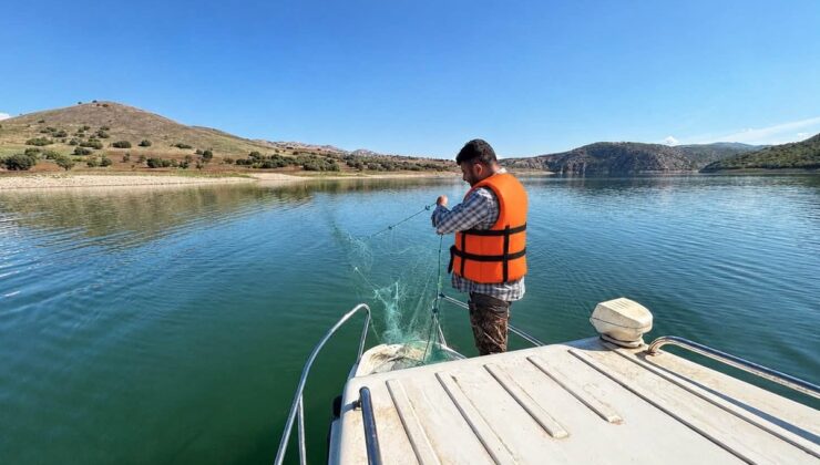 Elazığ Su Ürünleri Enstitüsü, baraj göllerinde istilacı türleri örnekliyor