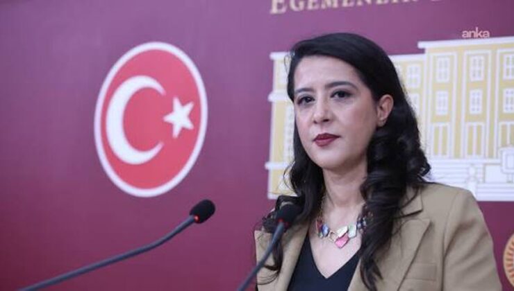 EMEP’li Karaca, gazeteciler Ağırel ve Özgür’ün gözaltısını Bakan Gürlek’e sordu