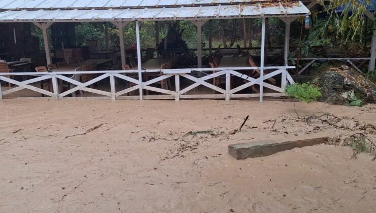 Erzincan’da sel, Girlevik Şelalesi’ni çamura çevirdi; restoranları su bastı