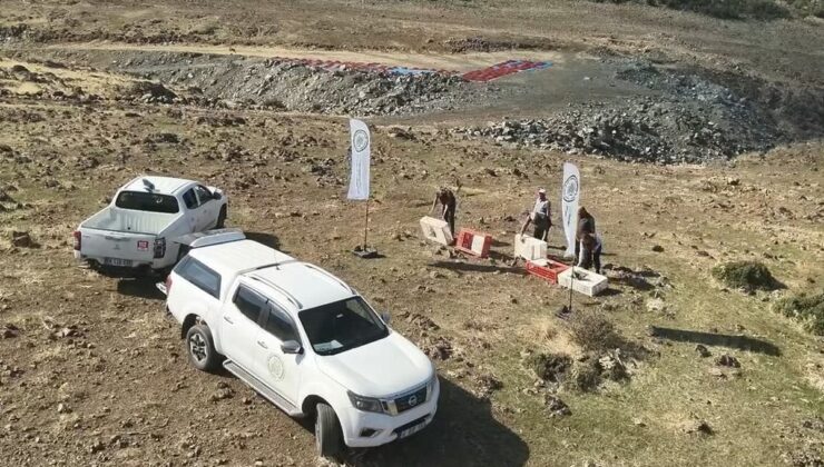 Gaziantep İslahiye’de yüzlerce kınalı keklik tarım zararlılarına karşı doğaya salındı