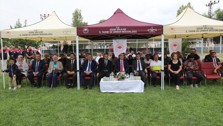 Iğdır’da 160 üreticiye 40 ton buğday tohumu dağıtıldı
