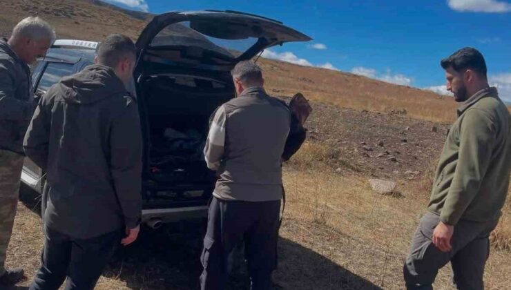 Iğdır’da av sezonu denetimleri belge kontrolüyle aralıksız sürüyor