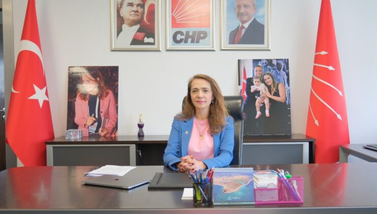 İlgezdi, Sağlık Bakanlığı’nı hekimlere ciro baskısı yapılmasına göz yummakla suçladı