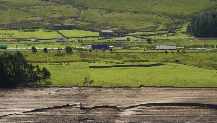 İngiltere’de Yorkshire Vahşi Yaşam Parkı’nda kaplan saldırısı bir kişiyi öldürdü