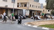 İsrail vatandaşı Filistinliler sandık başına deve, at ve eşeklerle gitti