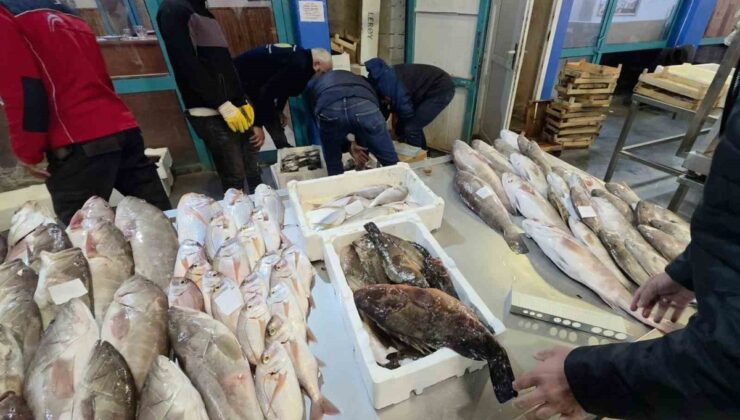İzmir Buca Balık Hali’nde 45 kilo yasa dışı su ürününe el konuldu