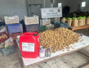 İzmir Ödemiş’te kimyasalla beyazlatılan 3 ton incir ele geçirildi, 1 kişi gözaltında
