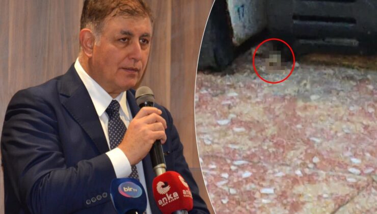 İzmir’de skandal görüntü! Videoyu izleyenler Cemil Tugay’ı etiketledi: Gerekeni yapın
