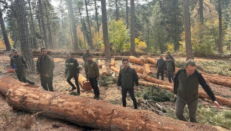 Kahramanmaraş Orman Bölge Müdürü, İslahiye’de 10 hektarlık karaçam sahasını inceledi
