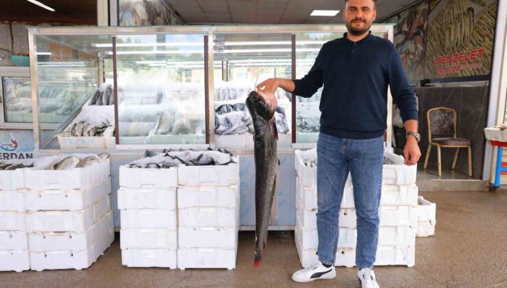 Kahramanmaraş’ta balık sezonu başladı, fiyatlar 200 ile 1000 lira arasında değişiyor