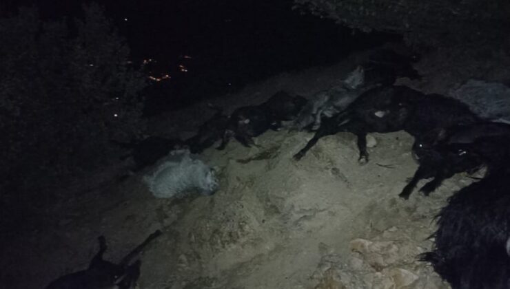 Kahramanmaraş’ta şiddetli yağışta yıldırımın isabet ettiği sürüde 20 keçi telef oldu