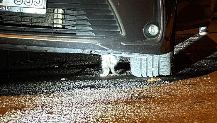 Karabük 5000 Evler’de otomobil altına sıkışan kediyi itfaiye ekipleri kurtardı