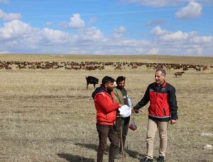 Kars’ta İl Tarım ve Orman Müdürü Aydın, meralarda çobanlarla bir araya geldi