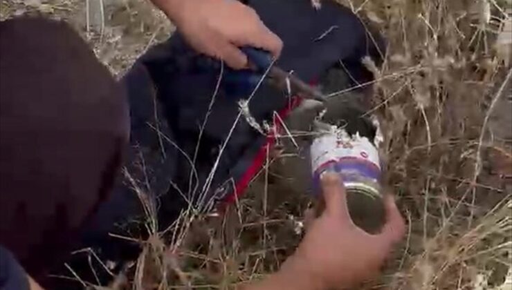 Kayseri’de başı konserve kutusunda kalan kediyi Büyükşehir itfaiyesi kurtardı