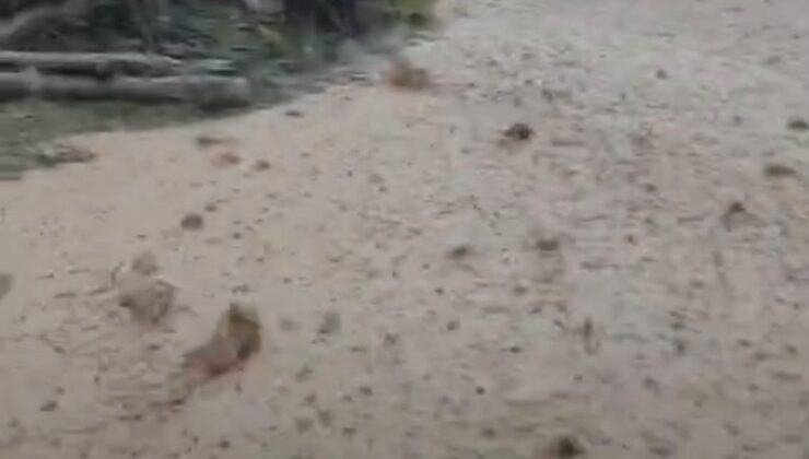 Malatya Hekimhan’da sağanak yağış, Yeşilpınar Mahallesi’nde taşkına yol açtı