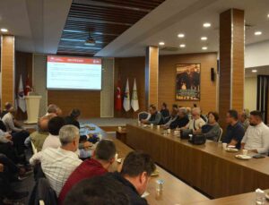 Manisa’da zeytin ağacı sayısı 2026’da 38 milyona ulaştı, rekor rekolte bekleniyor