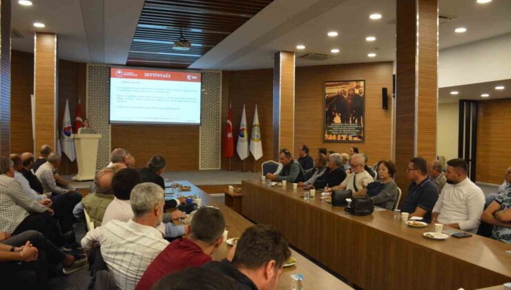 Manisa’da zeytin ağacı sayısı 2026’da 38 milyona ulaştı, rekor rekolte bekleniyor