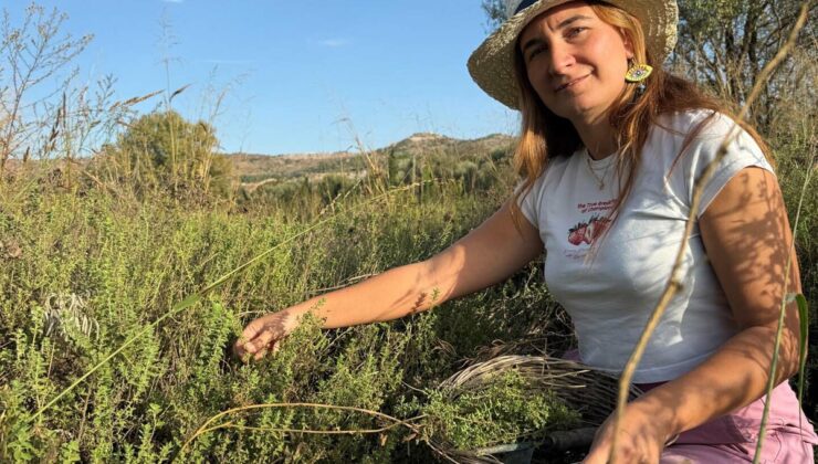 Müge Kızılırmak, Bodrum’daki 40 dönümlük çiftliğiyle Bakanlık ödülünü aldı