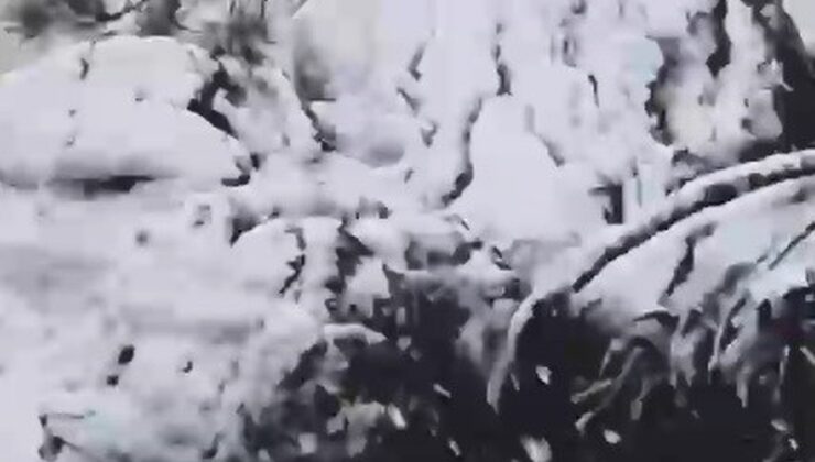 Muğla’nın Kavaklıdere ilçesinde yüksek kesimlere sezonun ilk karı yağdı