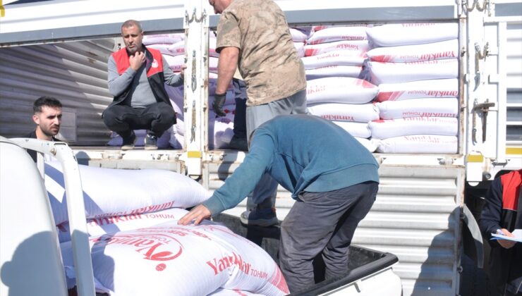 Muş’ta 250 üreticiye yüzde 75 hibeli 150 ton mercimek ve nohut tohumu dağıtıldı
