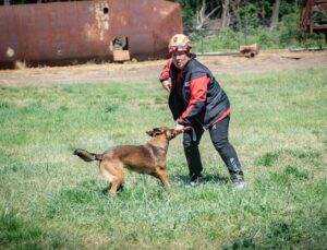 NAK Muğla’nın arama kurtarma köpekleri Afyonkarahisar’da yeterlilik sınavlarını geçti