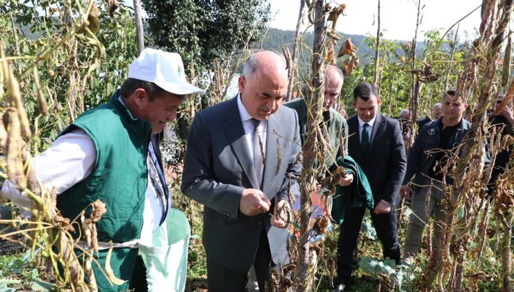 Ordu Akkuş’ta şeker fasulyesi hasat şenliği yapıldı, 2026 üretimi 2 bin 200 ton oldu