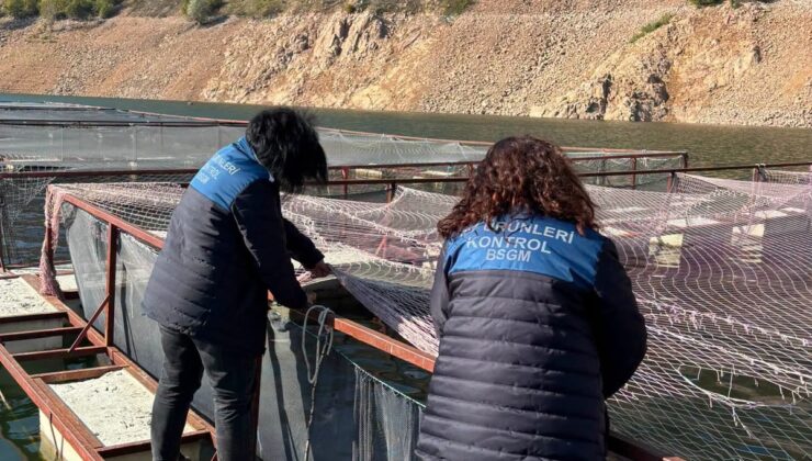 Ordu Mesudiye’de alabalık tesisleri denetlendi, 100-400 gramlıklar kasımda nakledilecek