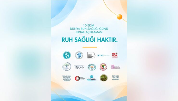 Ruh sağlığı meslek örgütleri sosyal medya erişim engellerinin kaldırılmasını istedi