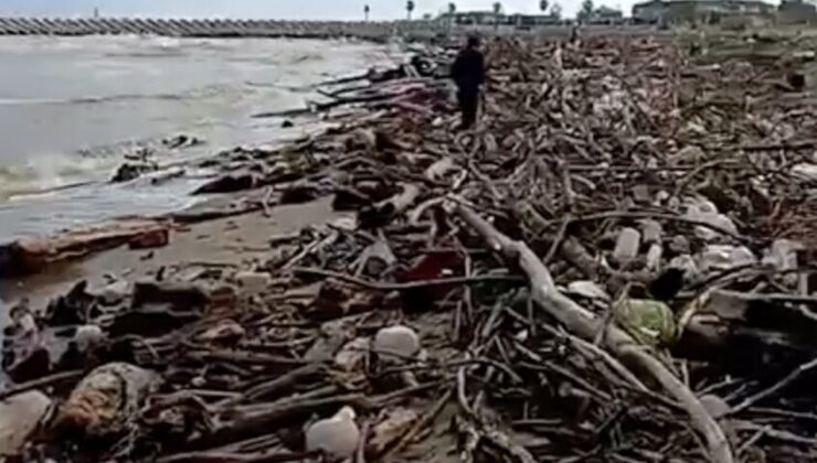 Sakarya Nehri’nden sürüklenen odunlar Karasu İhsaniye sahilinde birikti