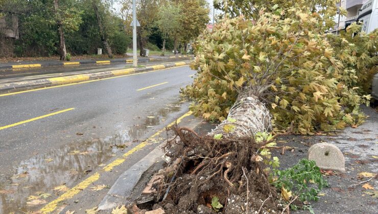 Sakarya’nın Karasu ilçesinde Darıçayırı Mahallesi’ni bu yıl 4’üncü kez su bastı