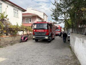 Samsun Vezirköprü’de yangında eşyalar kullanılamaz oldu, kedi yavrusu kurtarıldı