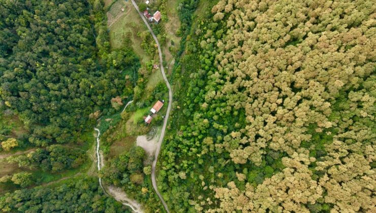 Sinop Türkeli’de sonbahar renkleriyle görsel şölen sunan ormanlar dronla görüntülendi