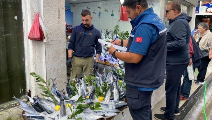 Sinop’ta balık satış noktaları denetlendi, kurallara aykırı duruma rastlanmadı
