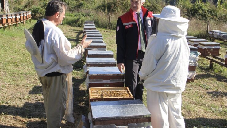 Sinop’ta KDAKP kapsamında 1074 yararlanıcıya 185 milyon lira hibe verildi