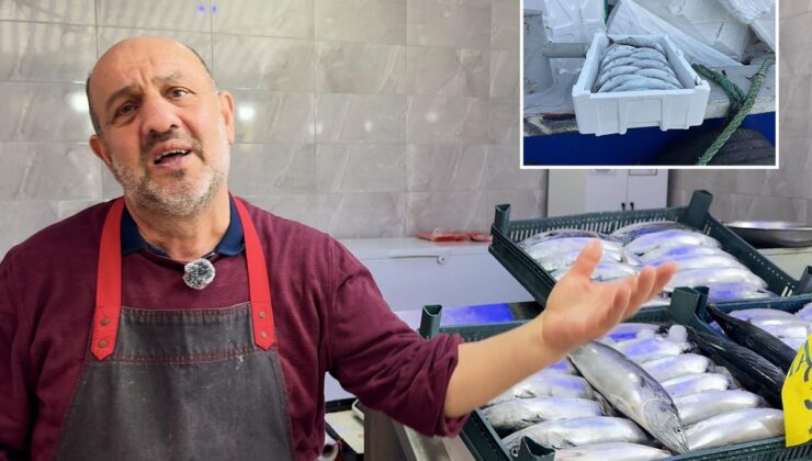 Strafor köpük kasasının fiyatı palamuttan 3 kat pahalı