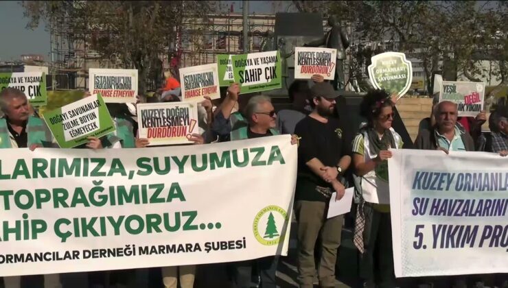 TMMOB ve ekolojik örgütler Kadıköy’de INRAIL projesinin iptalini istedi