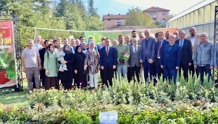 TOGÜ projesiyle Tokat’ta 13 üreticiye 3 bin 900 süs bitkisi fidanı verildi