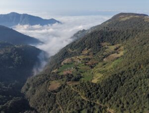 Trabzon Düzköy’deki Karadağ Yaylası sonbahar renkleriyle ziyaretçi çekiyor