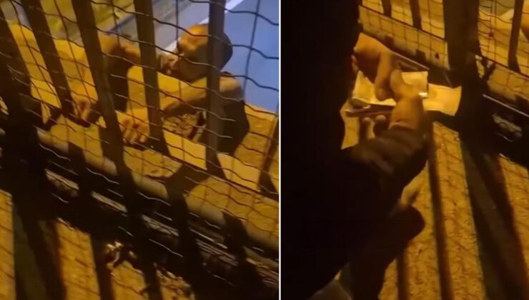 Trafik cezası sonrası intihara kalkıştı! İkna etmeye çalışan kişinin sözleri şaşırttı