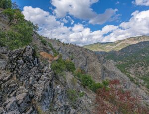 Tunceli’deki Munzur Çayı’nda kırmızı benekli alabalık avlanma yasağı uygulanıyor