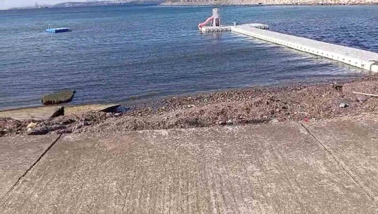 Yalova Taşköprü’de Dantel Sitesi önünde Marmara Denizi’ne kırmızı sıvı döküldü