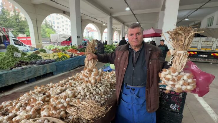 Yozgat’ta sarımsak fiyatları 200 liradan 50 liraya kadar geriledi